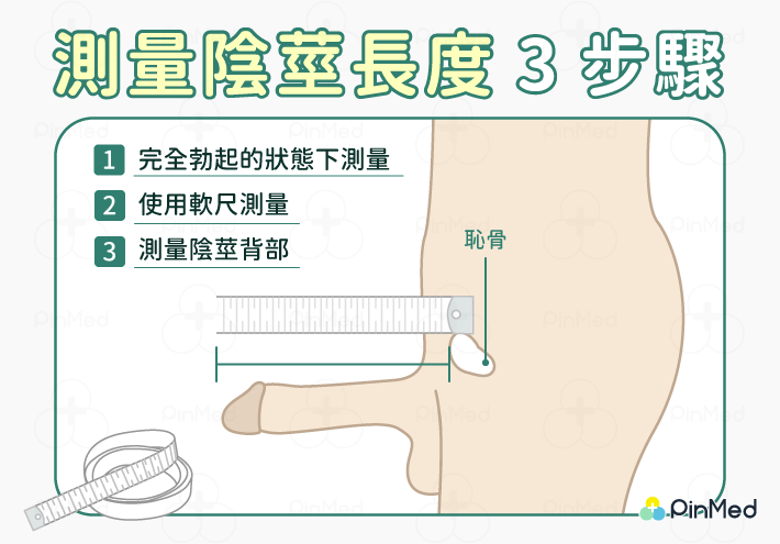 測量陰莖長度3步驟